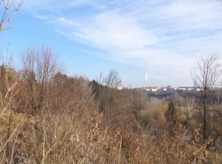 Prodej pozemku, trvalý travní porost, 1 007 m²