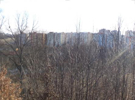 Prodej pozemku, trvalý travní porost, 1 007 m²