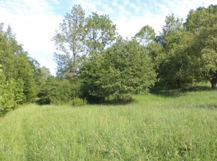 Prodej pozemku, trvalý travní porost, 15 764 m²