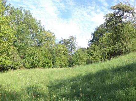 Prodej pozemku, trvalý travní porost, 15 764 m²