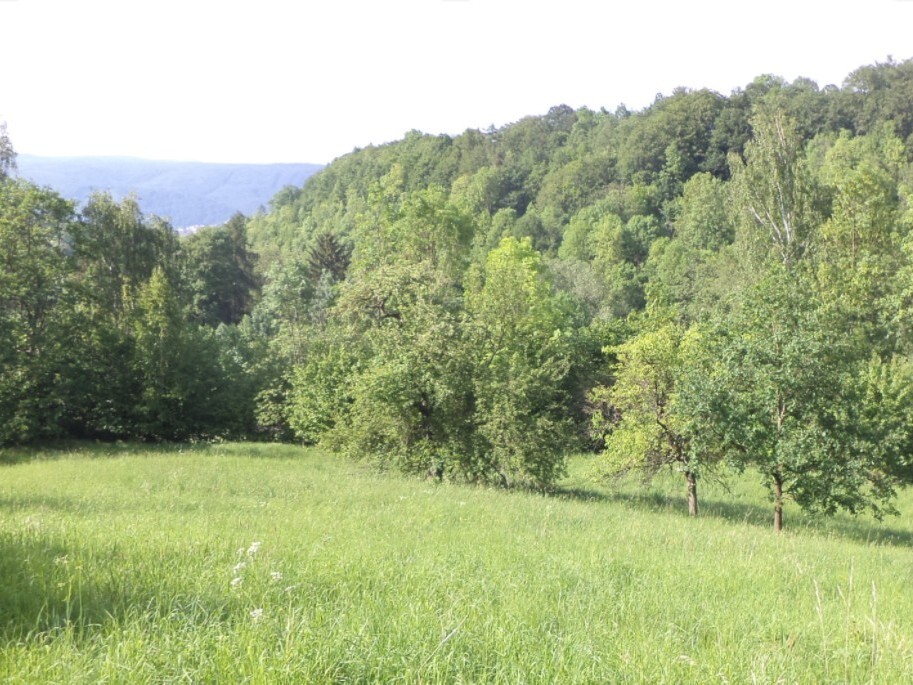 Pozemek o velikosti 15764m2, Chlum u Děčína