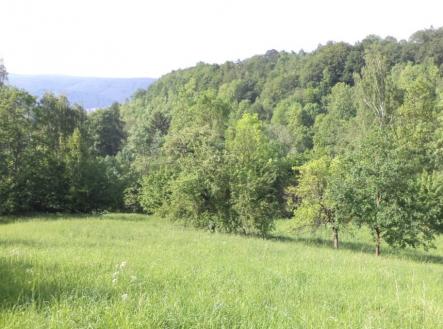 Prodej pozemku, trvalý travní porost, 15 764 m²