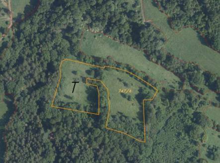 Prodej pozemku, trvalý travní porost, 15 764 m²
