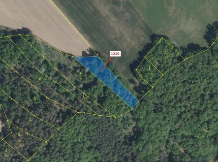 Prodej pozemku, les, 1 128 m²