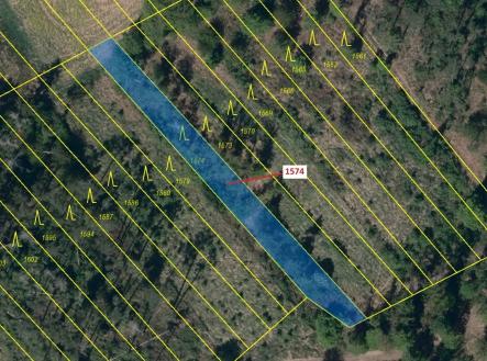 Prodej pozemku, les, 885 m²