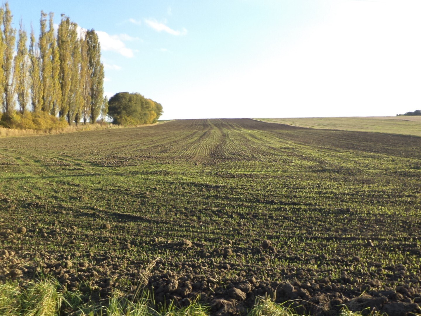 Stavební pozemek o velikosti 4328m2, Údraž