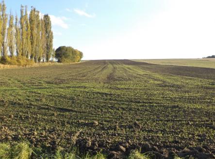 Prodej pozemku pro bydlení, 4 328 m²