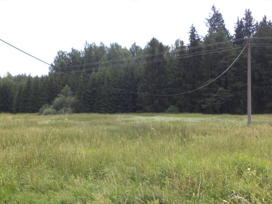 Pozemek o velikosti 13137m2, Nahý Újezdec