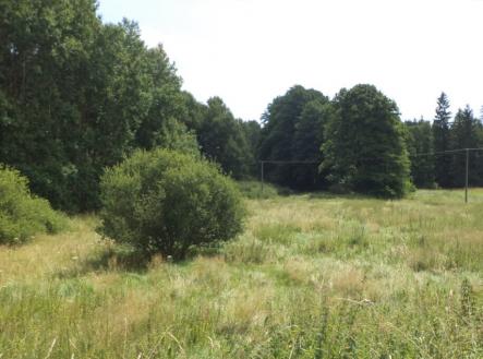 Prodej pozemku, trvalý travní porost, 13 137 m²