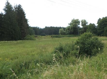 Prodej pozemku, trvalý travní porost, 13 137 m²