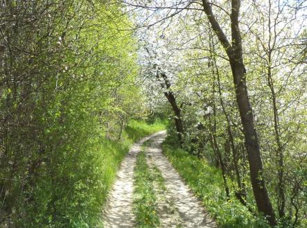 Prodej pozemku, ostatní, 3 225 m²