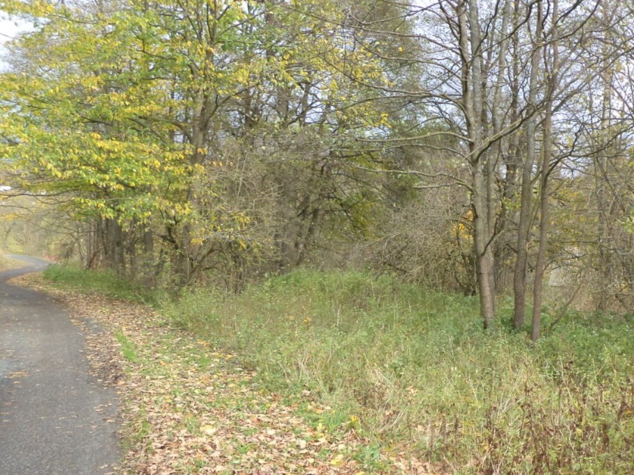 Pozemek o velikosti 1691m2, Dolní Paseky