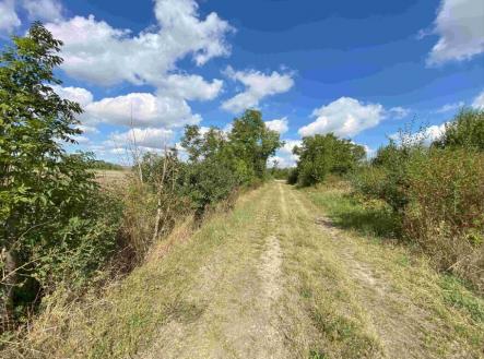 Prodej pozemku, zemědělská půda, 1 857 m²