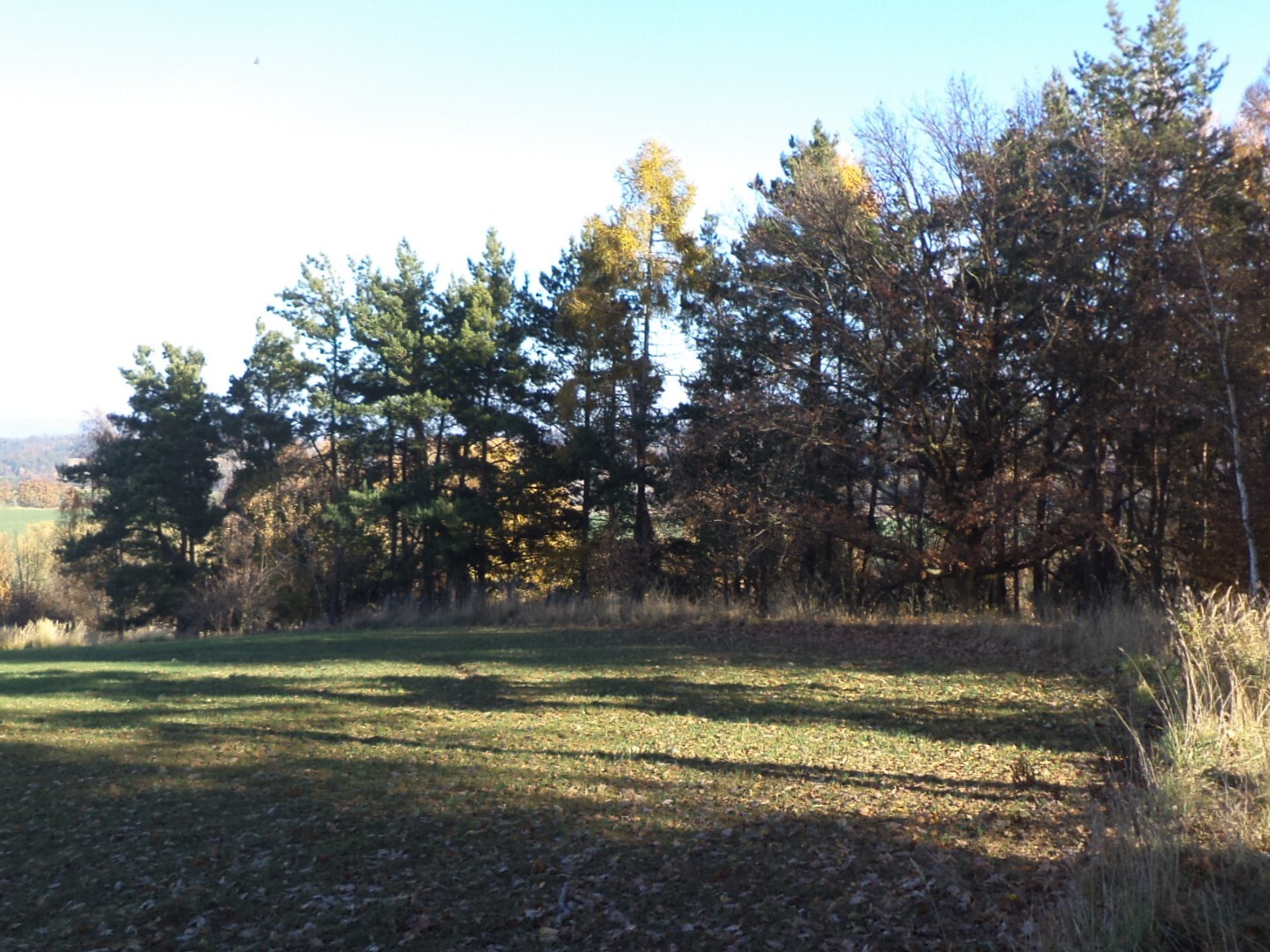 Pozemek o velikosti 13211m2, Prostějovičky