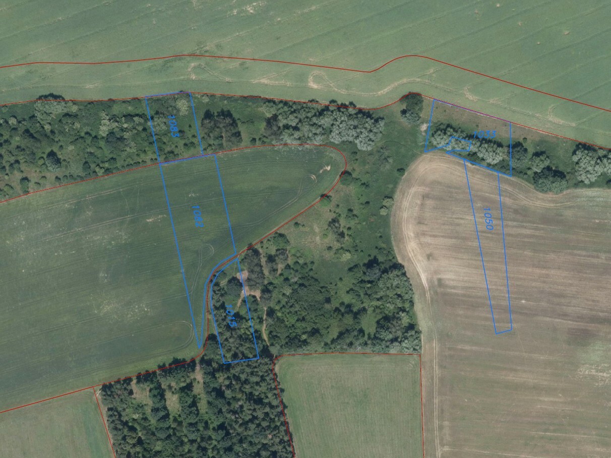 Pozemek o velikosti 13211m2, Prostějovičky