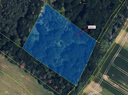 Prodej pozemku, les, 6 942 m²