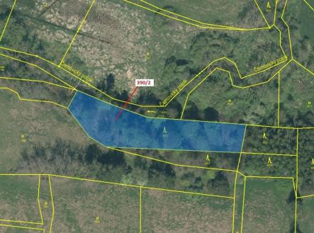 Prodej pozemku, les, 3 464 m²