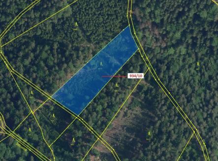 Prodej pozemku, les, 4 305 m²