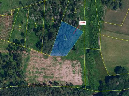 Prodej pozemku, les, 1 427 m²