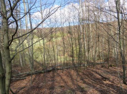 Prodej pozemku, trvalý travní porost, 16 551 m²