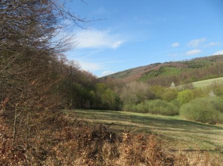 Prodej pozemku, trvalý travní porost, 16 551 m²