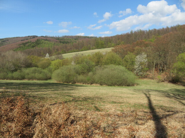 Pozemek o velikosti 16551m2, Javorník, podíl 1/2