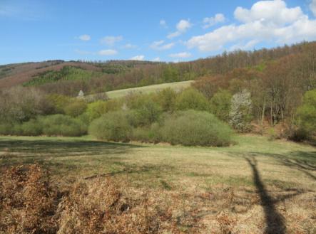 Prodej pozemku, trvalý travní porost, 16 551 m²