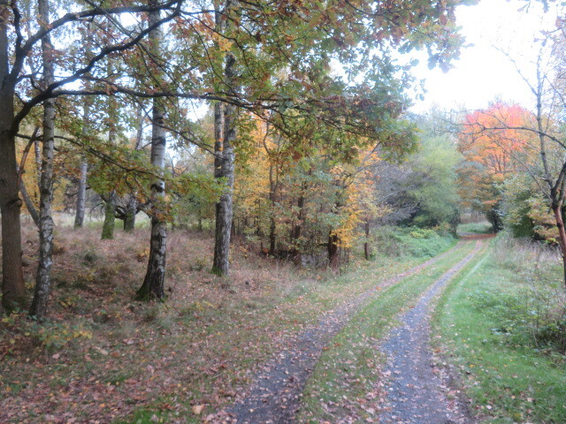 Pozemek o velikosti 2813m2, Jiříkov, podíl 1/6