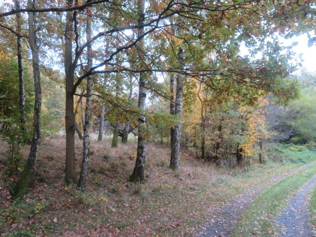 Pozemek o velikosti 2813m2, Jiříkov, podíl 1/6