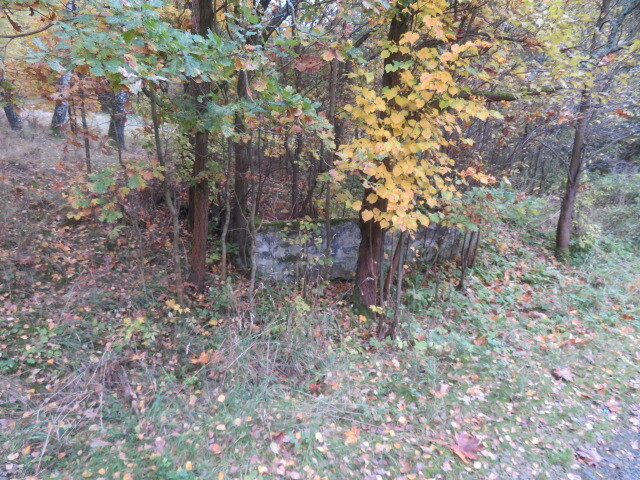 Pozemek o velikosti 2813m2, Jiříkov, podíl 1/6