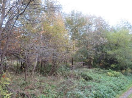 Prodej pozemku, zemědělská půda, 2 813 m²