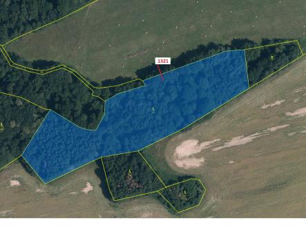 Prodej pozemku, les, 21 506 m²