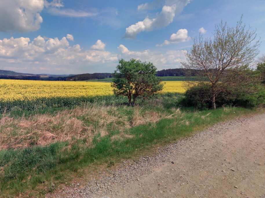 Pozemek o velikosti 6401m2, Cebiv