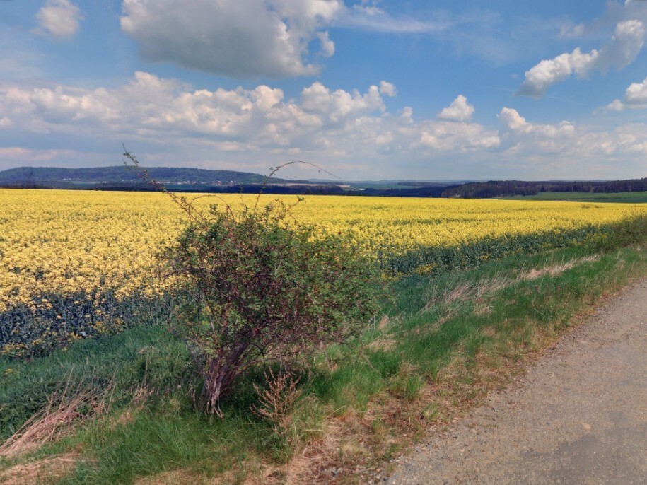 Pozemek o velikosti 6401m2, Cebiv