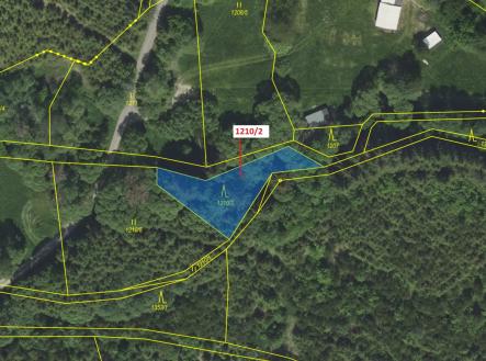 Prodej pozemku, les, 633 m²