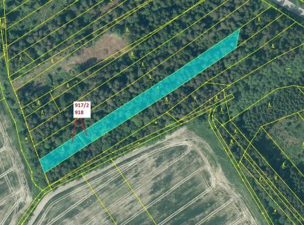 Prodej pozemku, les, 3 965 m²