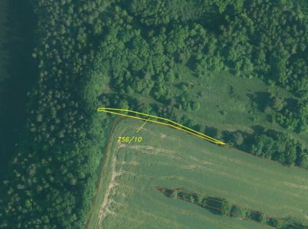 Prodej pozemku, trvalý travní porost, 3 163 m²