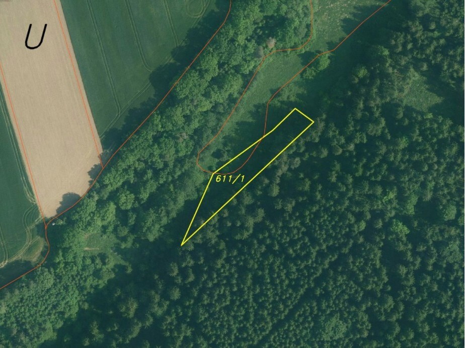 Pozemek o velikosti 3163m2, Kostelec