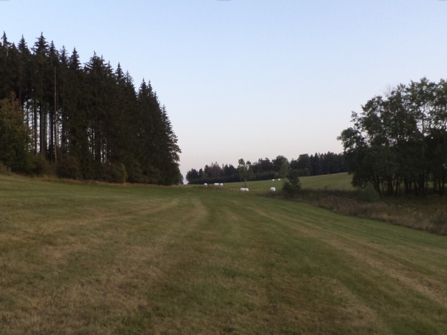 Pozemek o velikosti 14711m2, Čistá u Horek