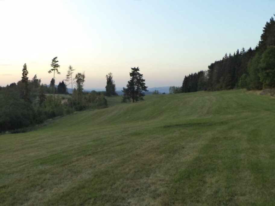 Pozemek o velikosti 14711m2, Čistá u Horek