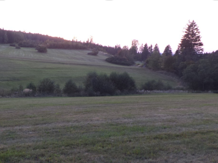 Pozemek o velikosti 14711m2, Čistá u Horek