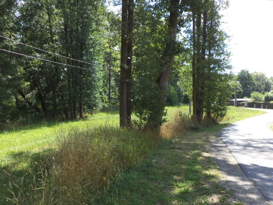 Pozemek o velikosti 386m2, Horní Lažany u Lipové