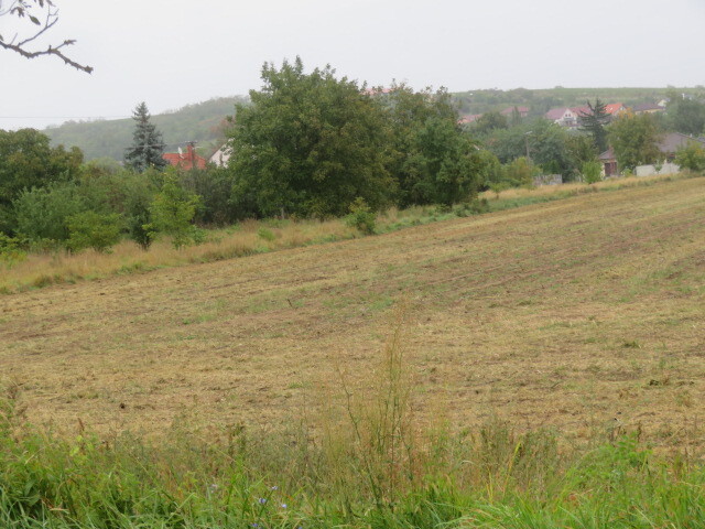 Pozemek o velikosti 1289m2, Pravlov, podíl 1/2