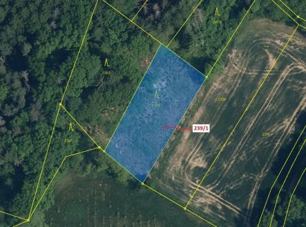 Prodej pozemku, les, 1 872 m²