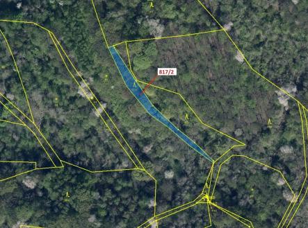 Prodej pozemku, les, 815 m²