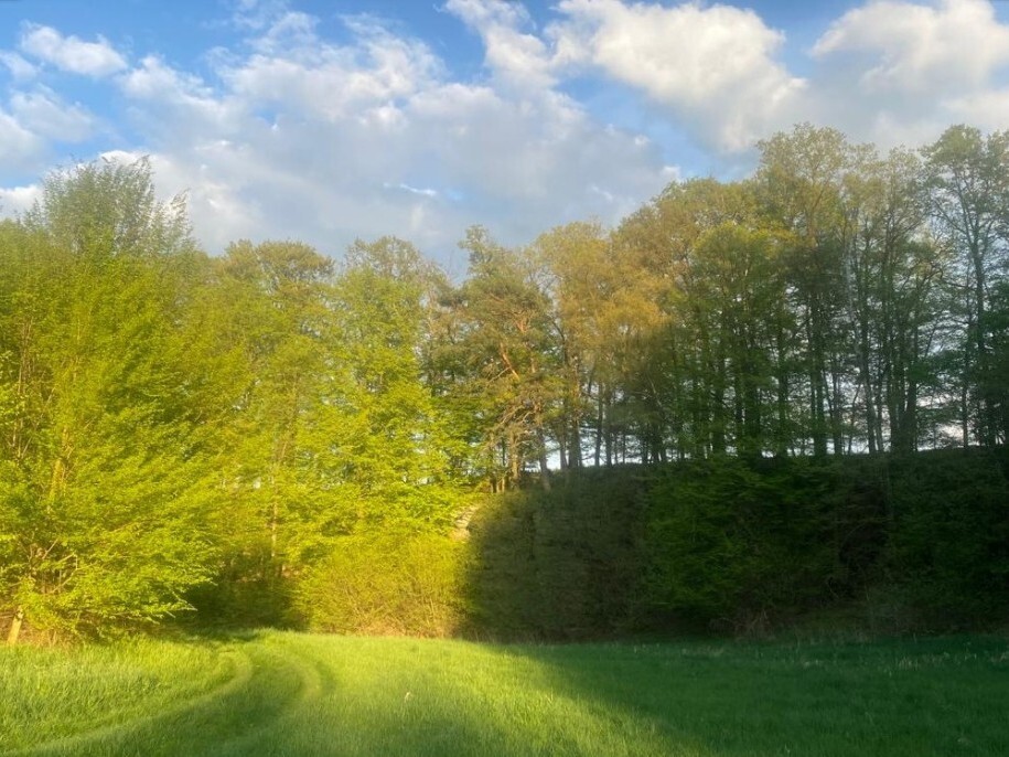 Pozemek o velikosti 3829m2, Tachov u Doks