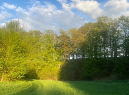 Prodej pozemku, trvalý travní porost, 3 829 m²