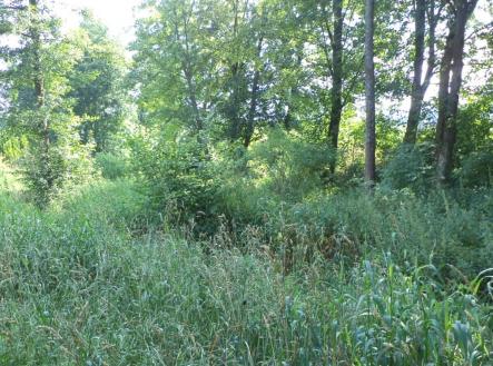 Prodej pozemku, trvalý travní porost, 154 m²