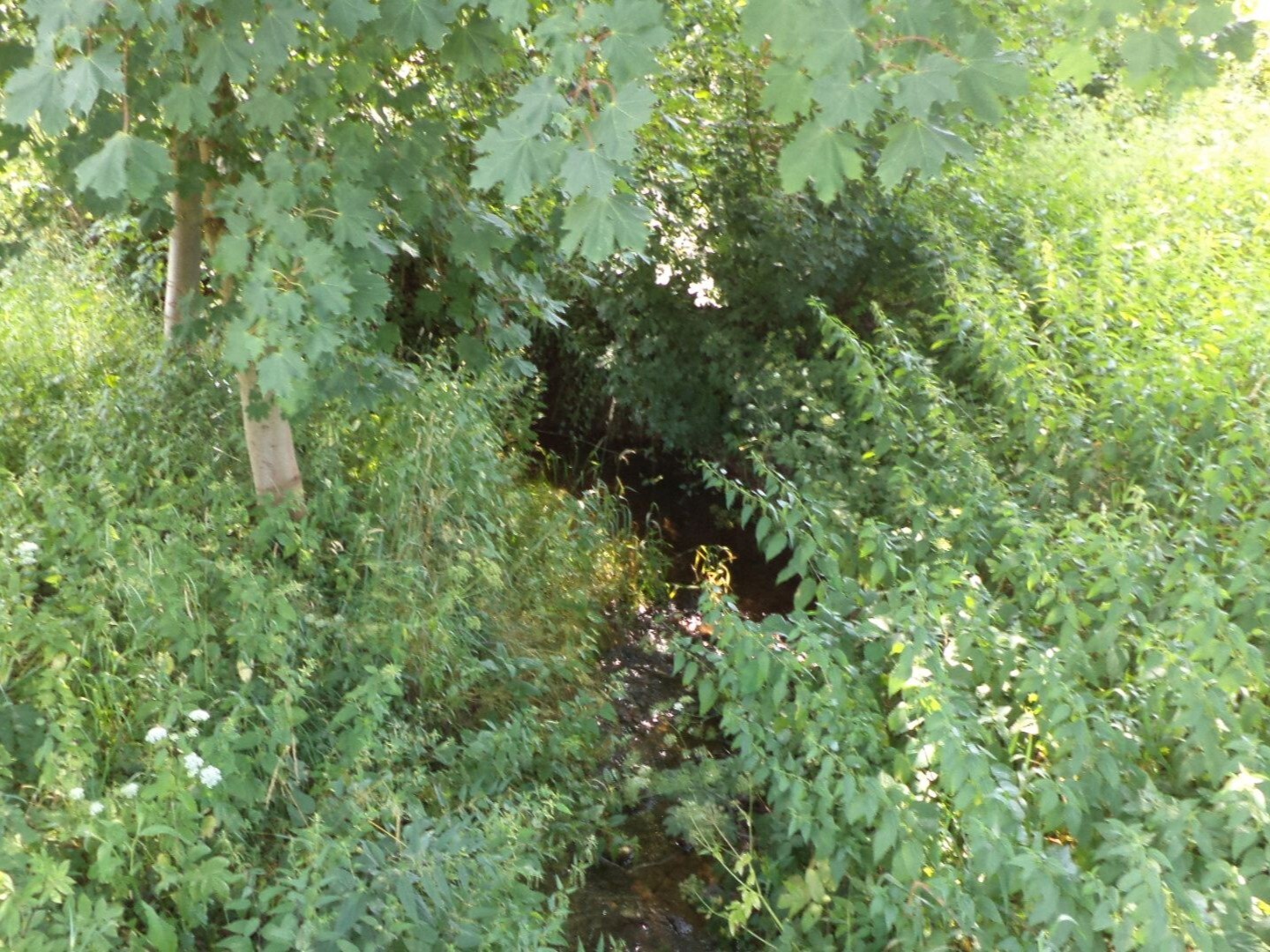 Pozemek o velikosti 154m2,  Prostřední SB