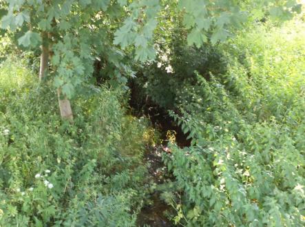 Prodej pozemku, trvalý travní porost, 154 m²